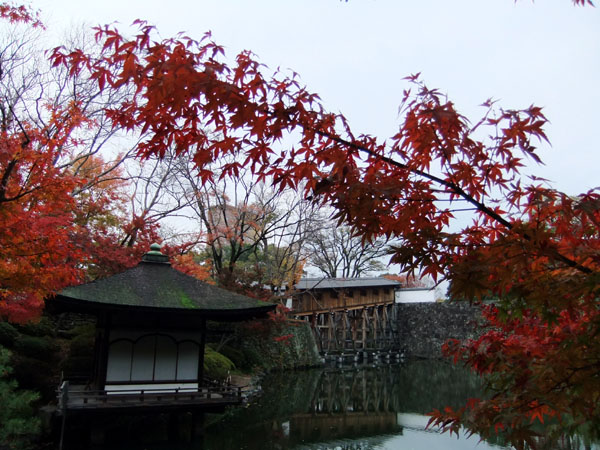 紅葉溪庭園03