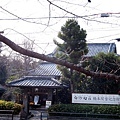 1230 哲學之道06.JPG