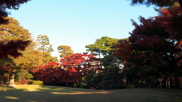 殿ヶ谷戶庭園04.JPG