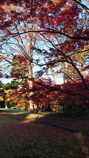 殿ヶ谷戶庭園06.JPG