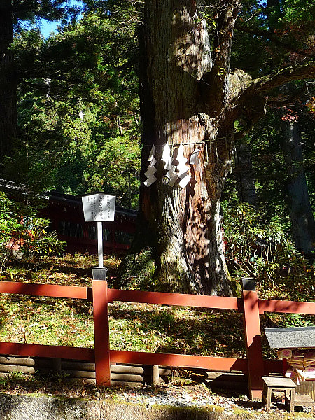 1119-二荒山神社03.JPG