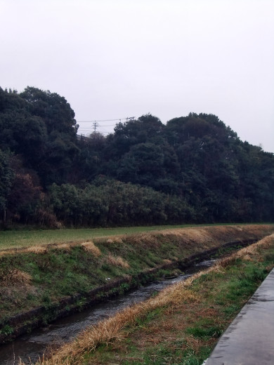 0306-雨中街景05.JPG