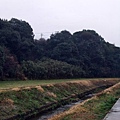 0306-雨中街景05.JPG