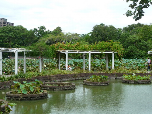 0823-植物園09.jpg