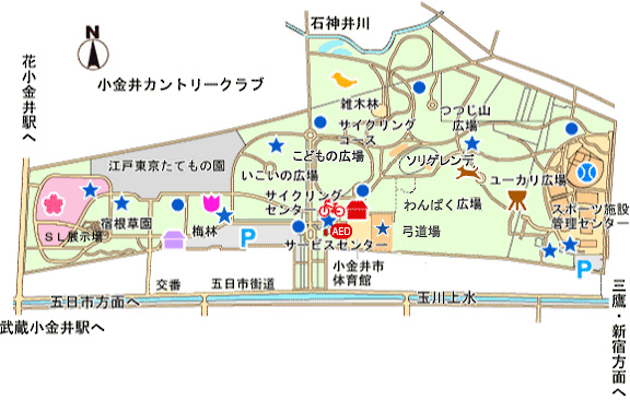 遊 記 東京 紅葉狩り15 Day3 小金井公園 豬言 豬語 小豬丸的窩 痞客邦