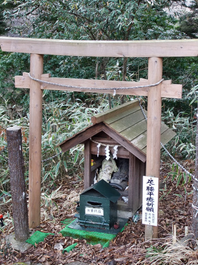 0308-九重夢天空步道17.JPG