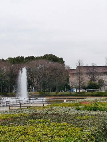 0217-上野公園16.JPG