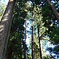 1119-二荒山神社14.JPG