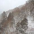 2011_013.JPG
