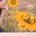d8拷貝.png