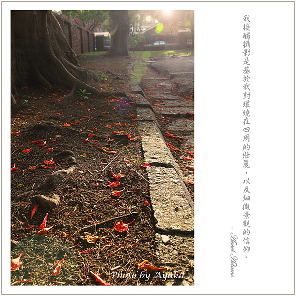 3拷貝.png