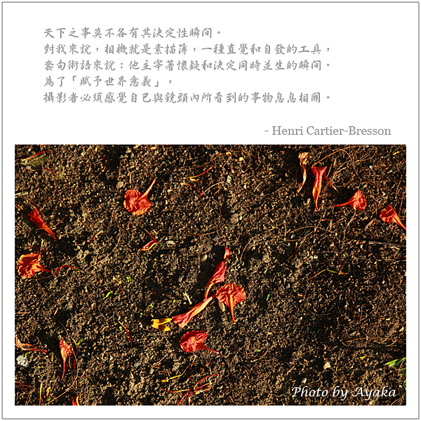 5拷貝.png