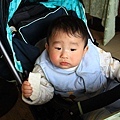 IMG_5222.jpg