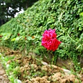 IMG_2844.JPG