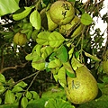 IMG_2789.JPG