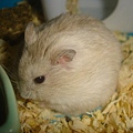 DSC05911