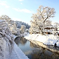 2011_046.JPG