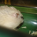 DSC05851
