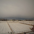 照片 675.jpg