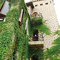 IMG_2882.JPG