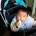 IMG_5223.jpg