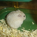 DSC05858