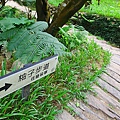 IMG_2779.JPG