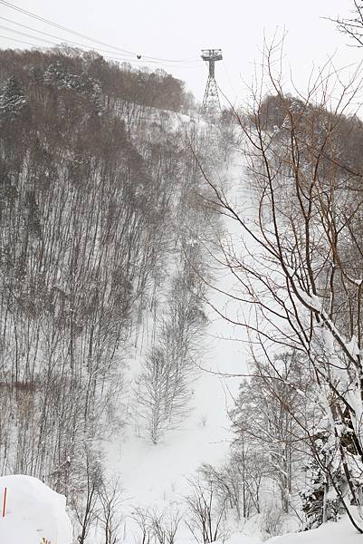2011_016.JPG