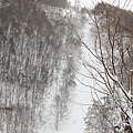 2011_016.JPG