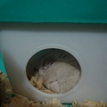 DSC05950