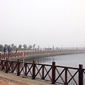 IMG_7439.jpg