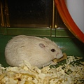 DSC05864