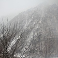 2011_008.JPG