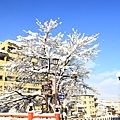 2011_044.JPG