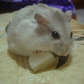DSC06240