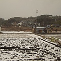 照片 136.jpg