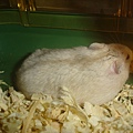 DSC05855
