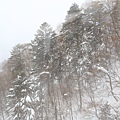 2011_014.JPG