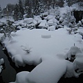 照片 908.jpg