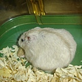 DSC05856