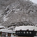 照片 1066.jpg