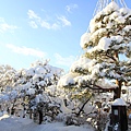 2011_045.JPG
