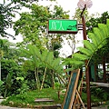 IMG_2797.JPG