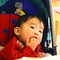 IMG_7478.jpg