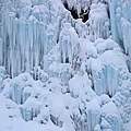 2011_037.JPG