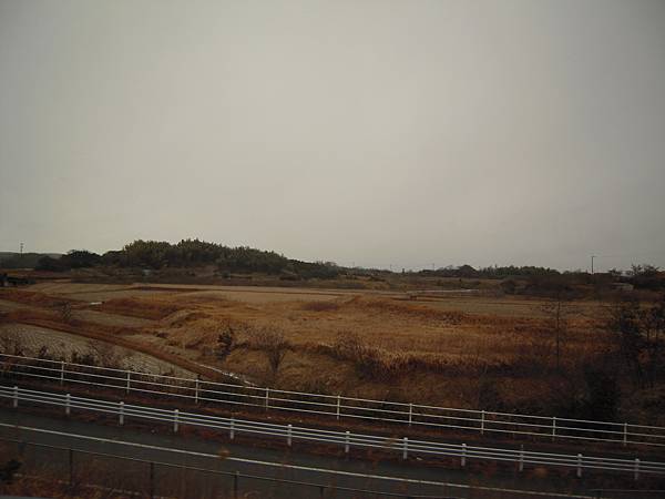 照片 082.jpg