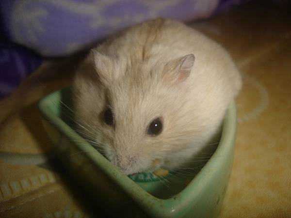 DSC06220