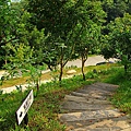 IMG_2848.JPG