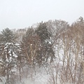 2011_015.JPG