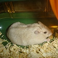 DSC05863